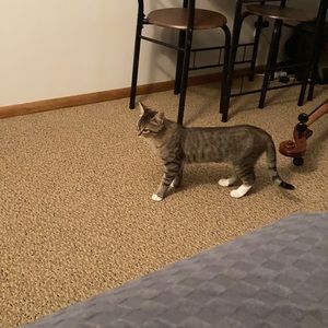 Meet your Posher, Kelsey